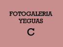 Yeguas Criollas C